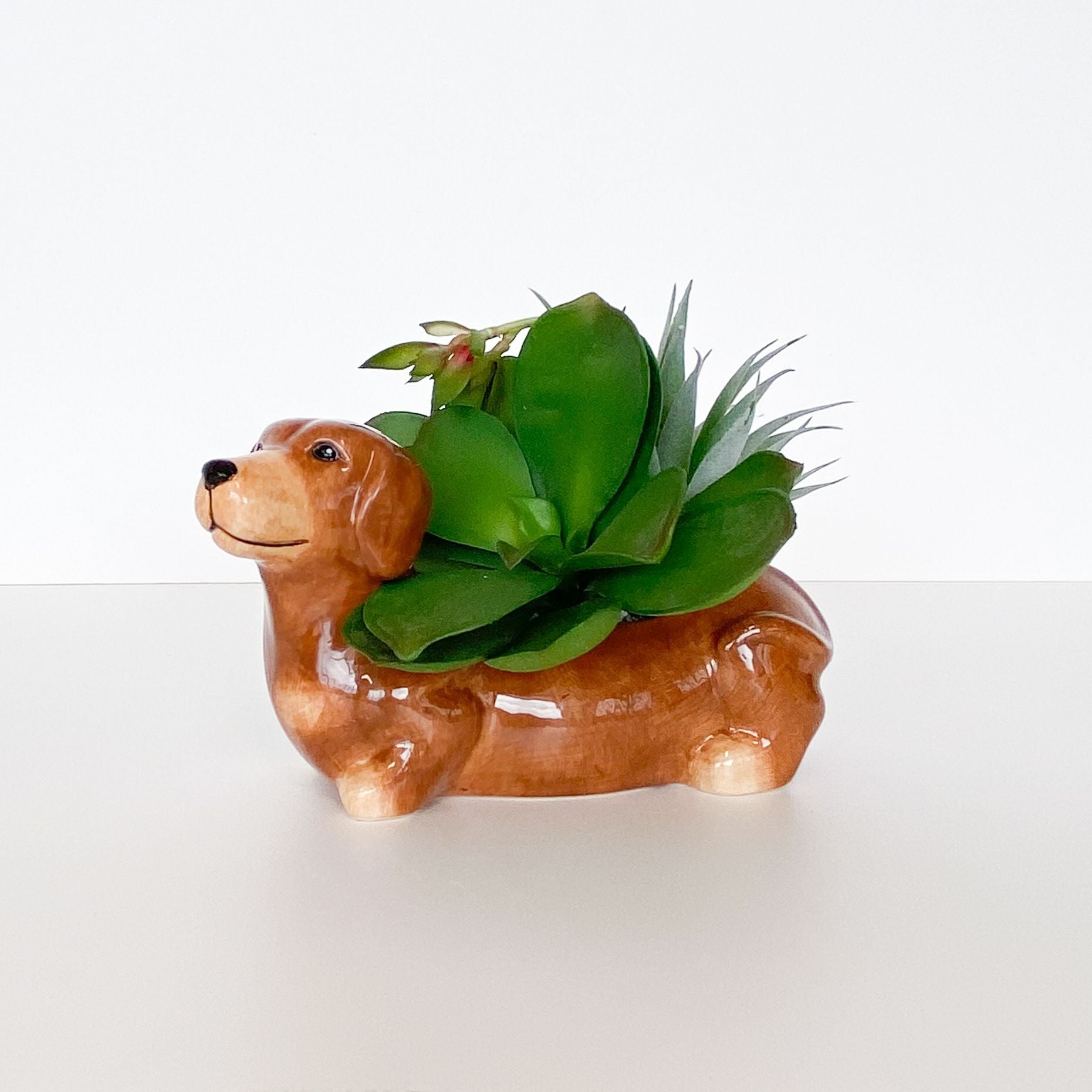 Dachshund Planter - Brown (20cm)