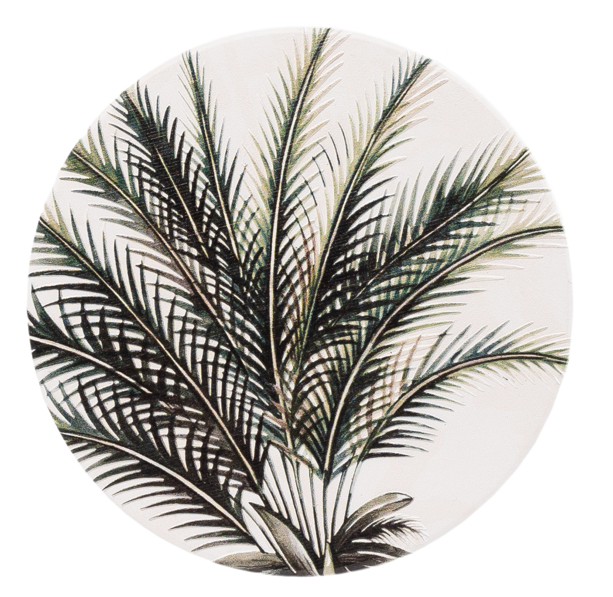 Exotic Coasters - 5 designs