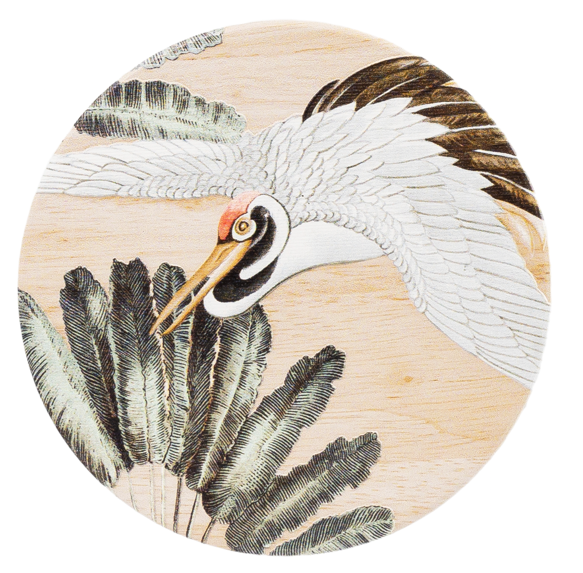 Exotic Coasters - 5 designs