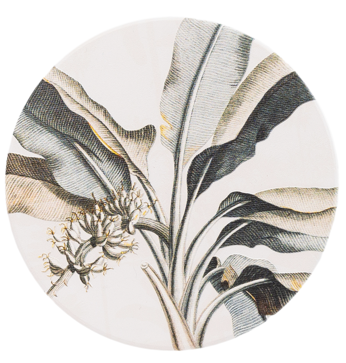 Exotic Coasters - 5 designs