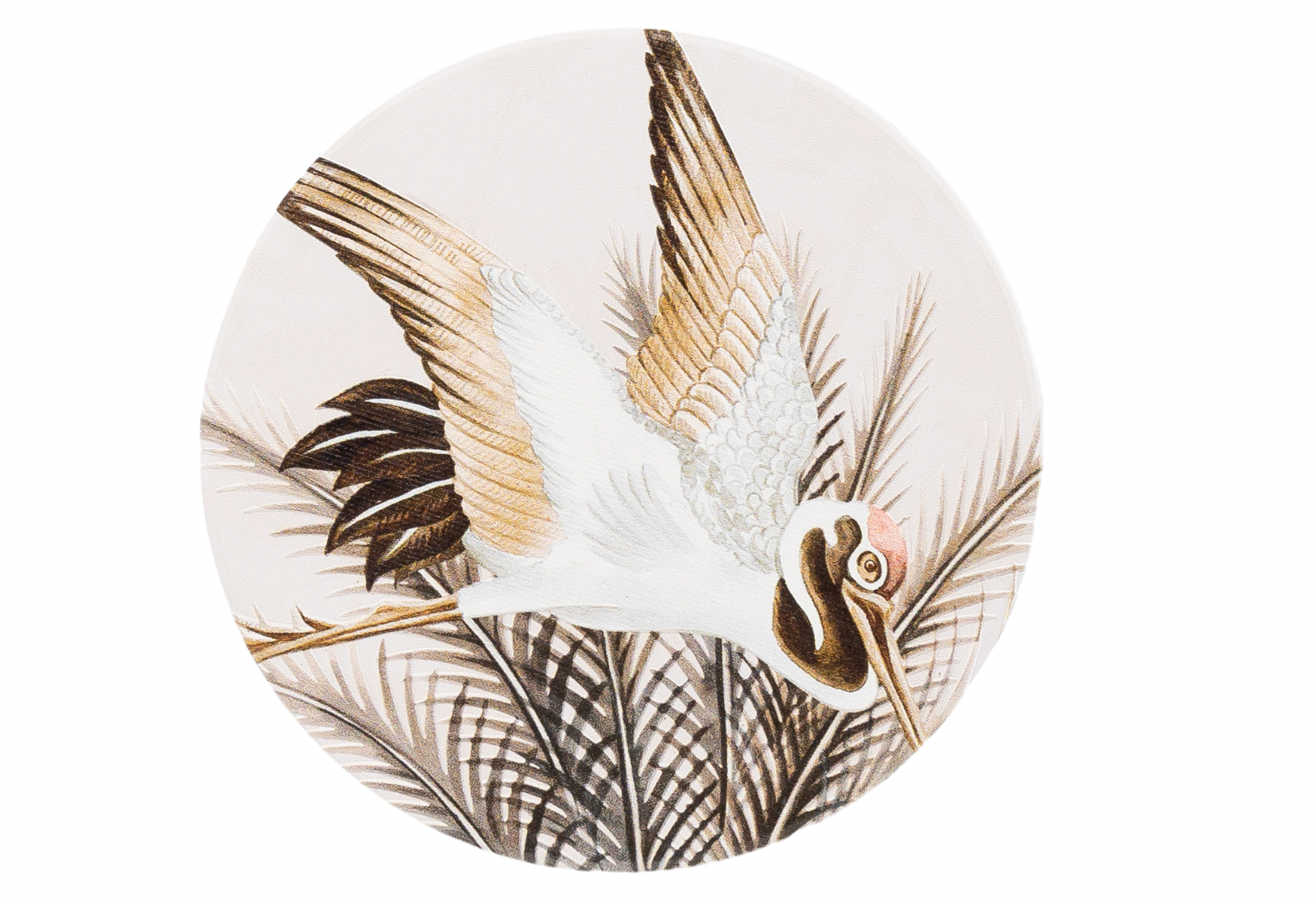 Exotic Coasters - 5 designs