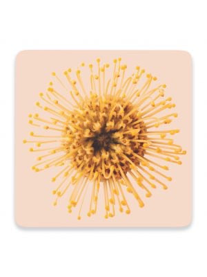 Flourish Ceramic Coaster - 3 designs