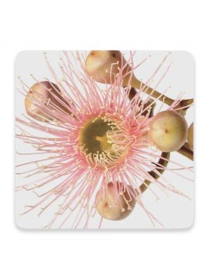 Flourish Ceramic Coaster - 3 designs