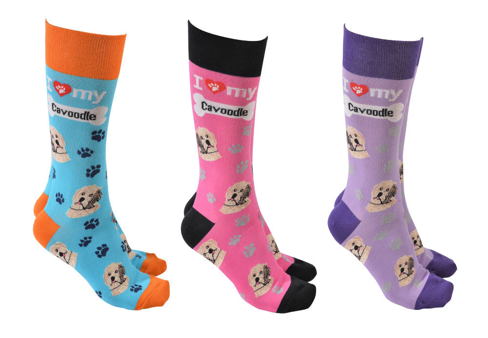 Sock Society - Cavoodle