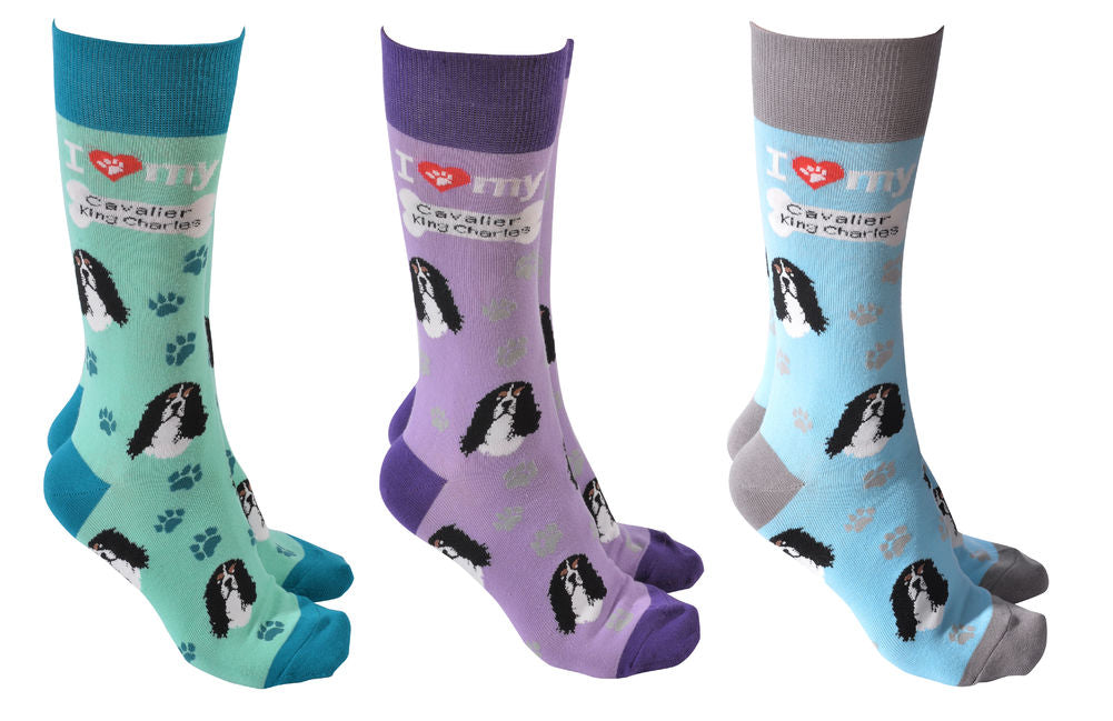 Sock Society - Cavalier King