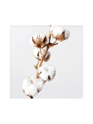 Dusk Ceramic Coasters