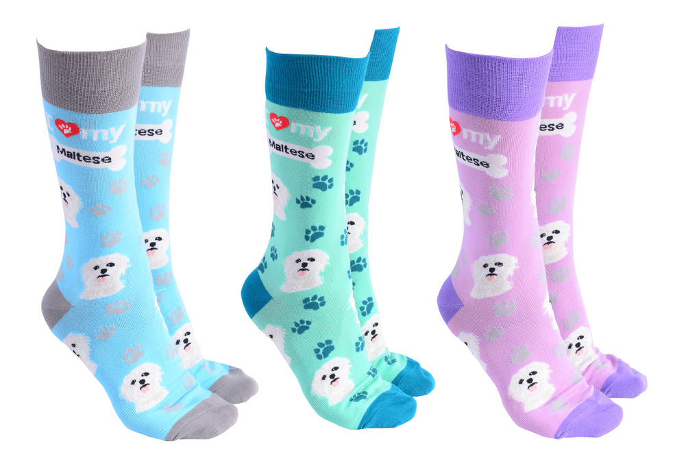 Sock Society - Maltese
