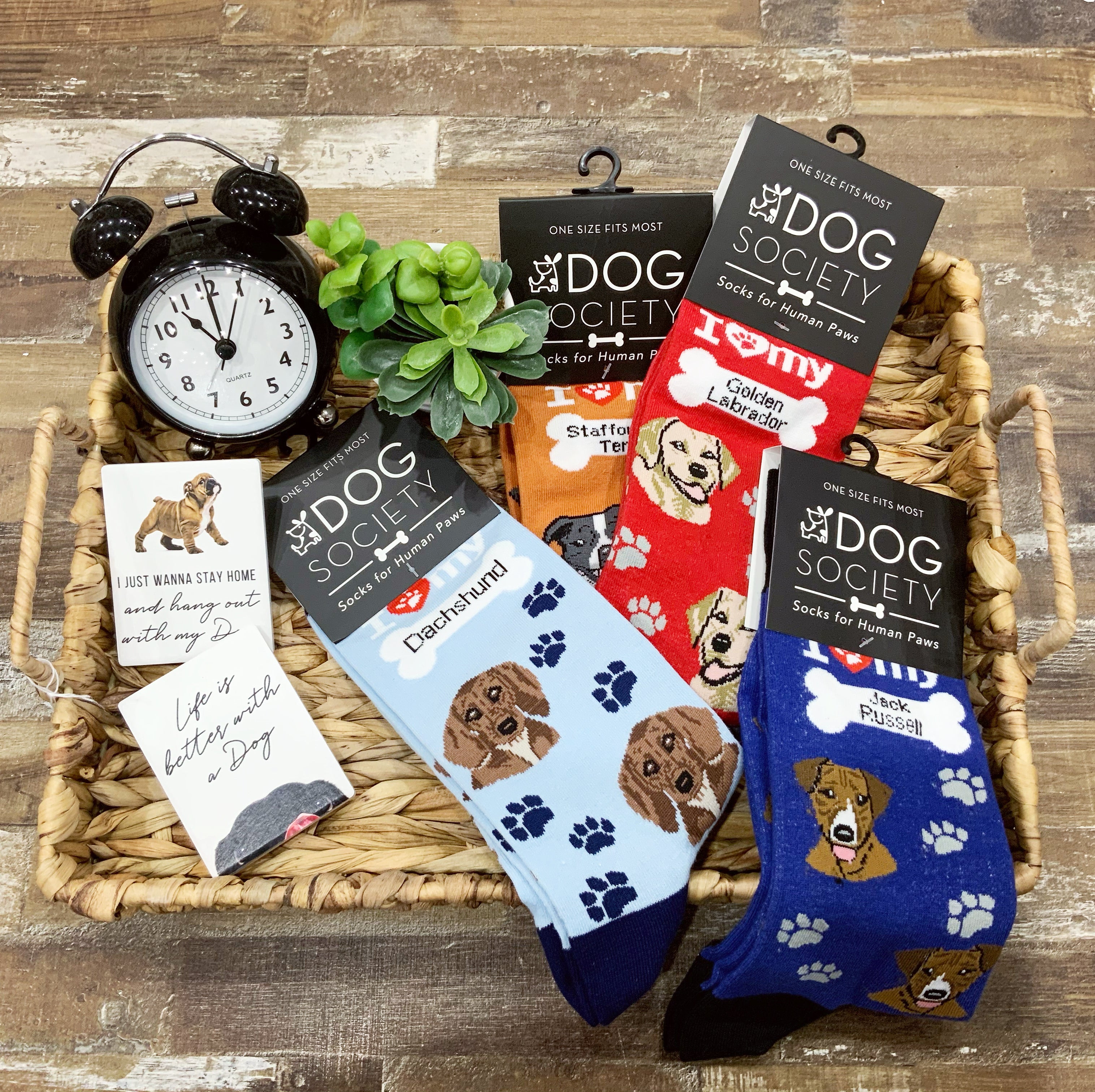 Sock Society - Dachshund